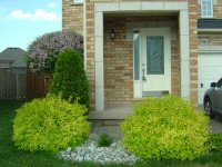 thumb_36_penbridge004.jpg