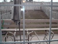 thumb_46_mountranier004.jpg